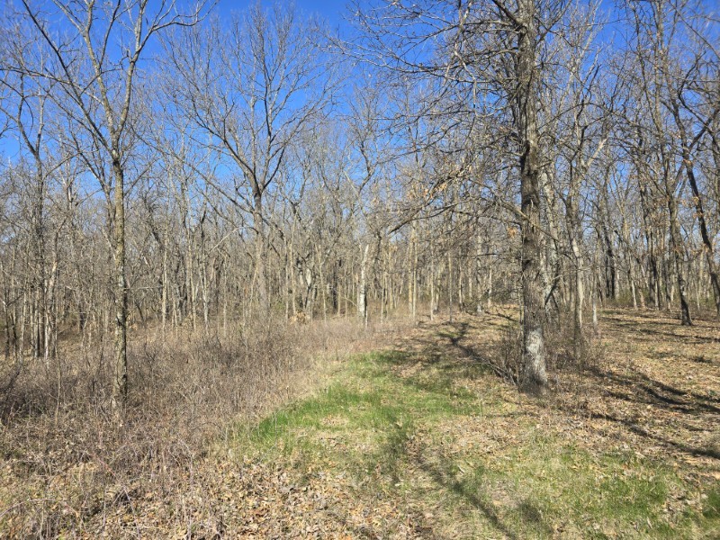 Listing photo 10